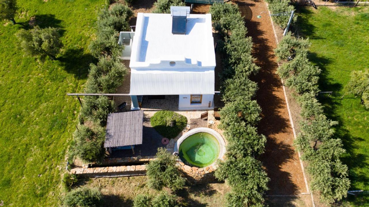 Olive Stone Farm Cottages Montagu Buitenkant foto