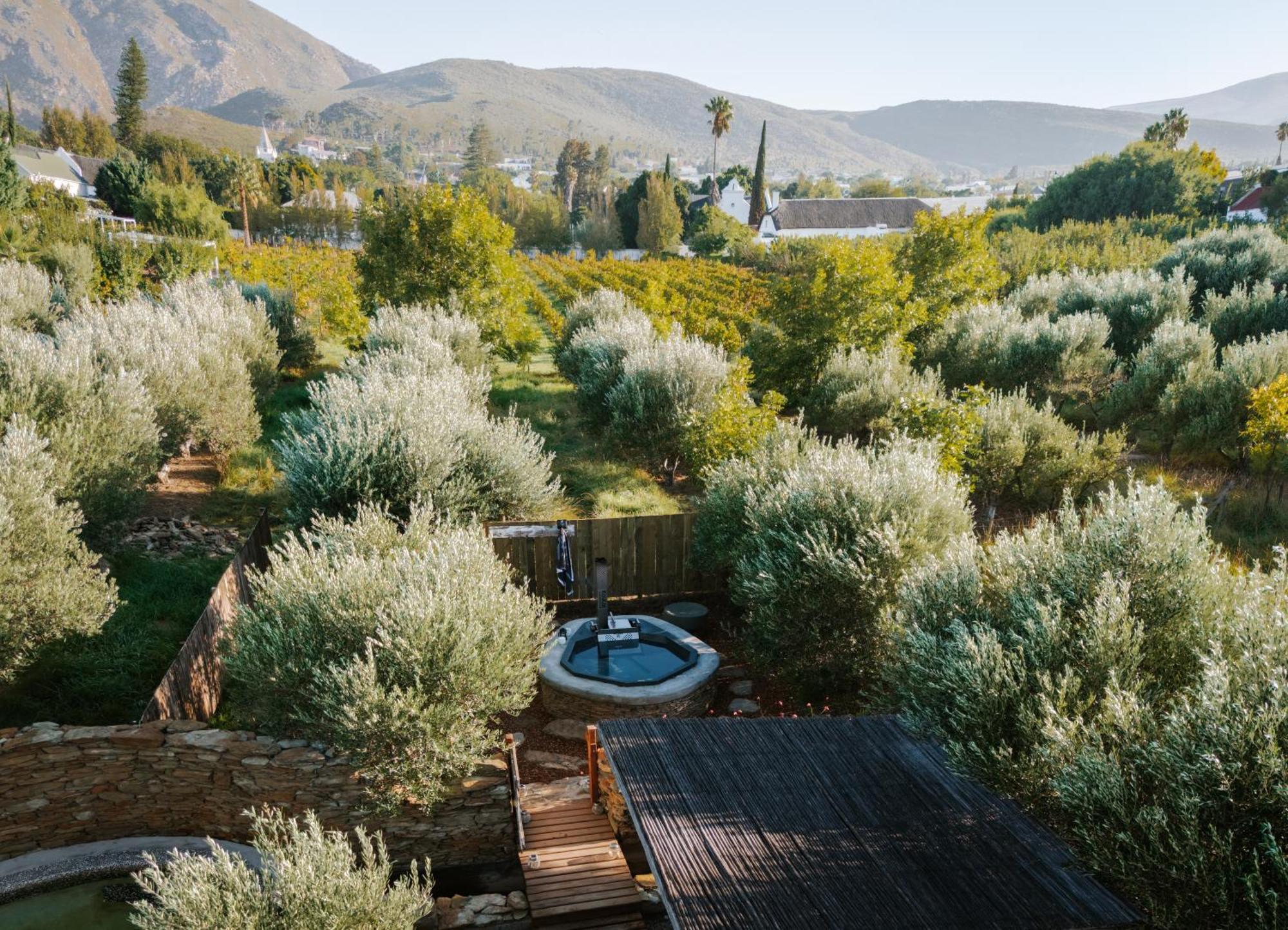 Olive Stone Farm Cottages Montagu Buitenkant foto